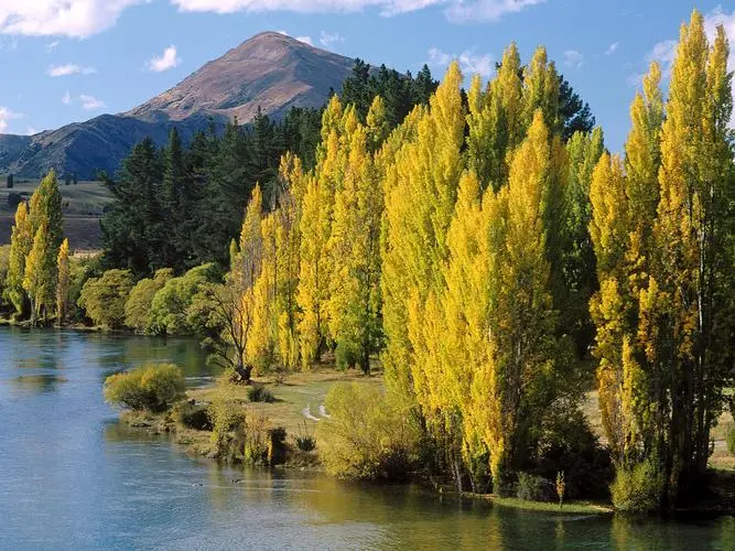 高精度电子